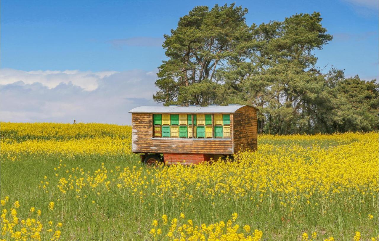 Вілла Reetdachhaus 26 Auf Usedom Kutzow Екстер'єр фото